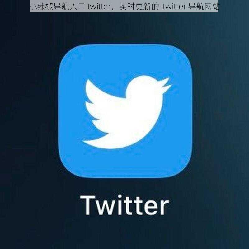 小辣椒导航入口 twitter，实时更新的-twitter 导航网站