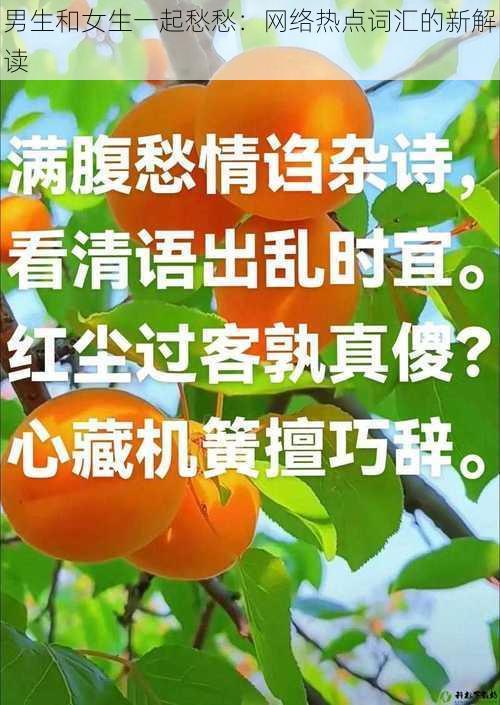 男生和女生一起愁愁：网络热点词汇的新解读