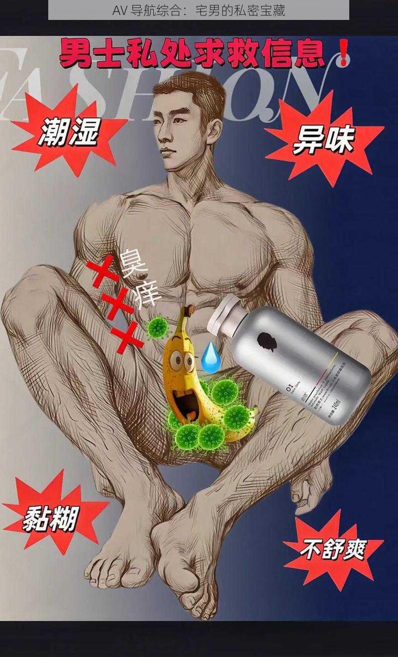 AV 导航综合：宅男的私密宝藏