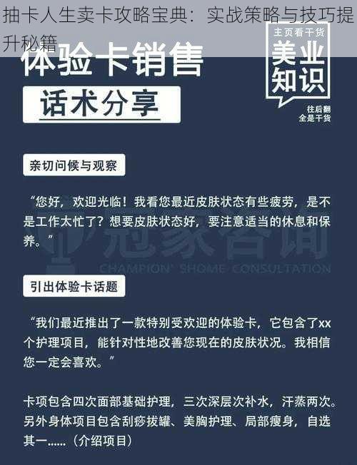 抽卡人生卖卡攻略宝典：实战策略与技巧提升秘籍