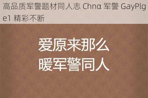 高品质军警题材同人志 Chnα 军警 GayPlge1 精彩不断