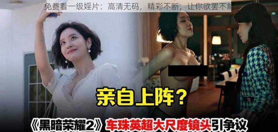 免费看一级婬片：高清无码，精彩不断，让你欲罢不能