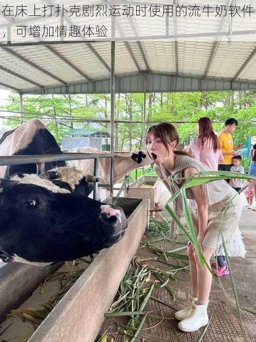 在床上打扑克剧烈运动时使用的流牛奶软件，可增加情趣体验