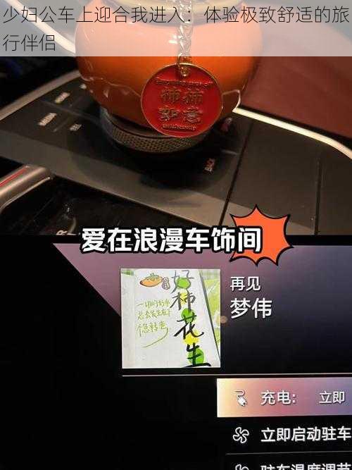 少妇公车上迎合我进入：体验极致舒适的旅行伴侣