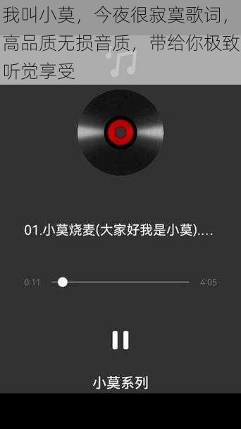 我叫小莫，今夜很寂寞歌词，高品质无损音质，带给你极致听觉享受