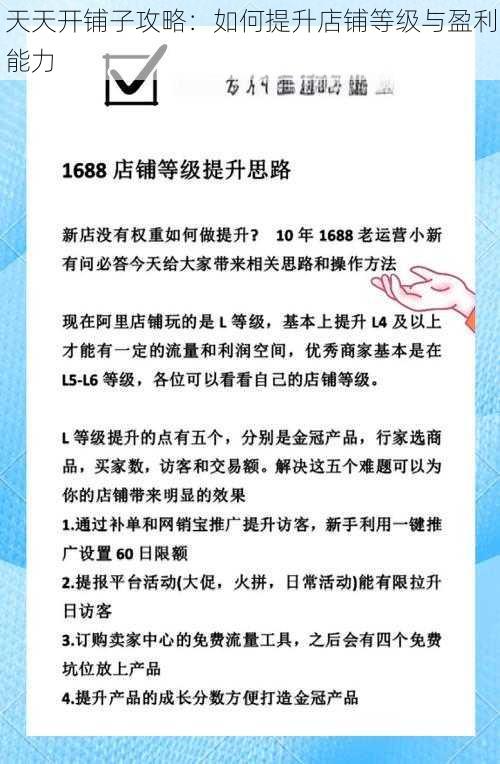 天天开铺子攻略：如何提升店铺等级与盈利能力