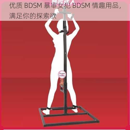 优质 BDSM 暴审女犯 BDSM 情趣用品，满足你的探索欲