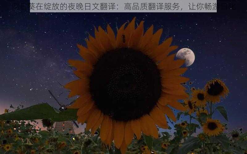 向日葵在绽放的夜晚日文翻译：高品质翻译服务，让你畅游日化