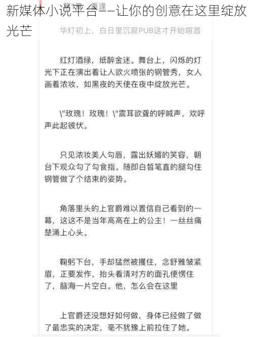 新媒体小说平台——让你的创意在这里绽放光芒