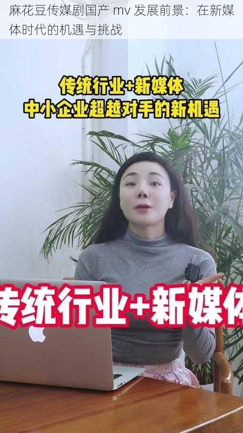 麻花豆传媒剧国产 mv 发展前景：在新媒体时代的机遇与挑战