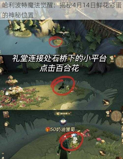 哈利波特魔法觉醒：揭秘4月14日鲜花彩蛋的神秘位置