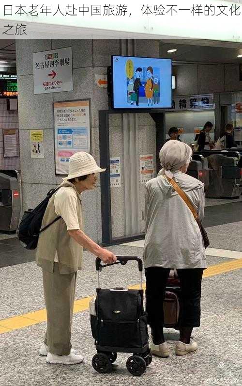 日本老年人赴中国旅游，体验不一样的文化之旅