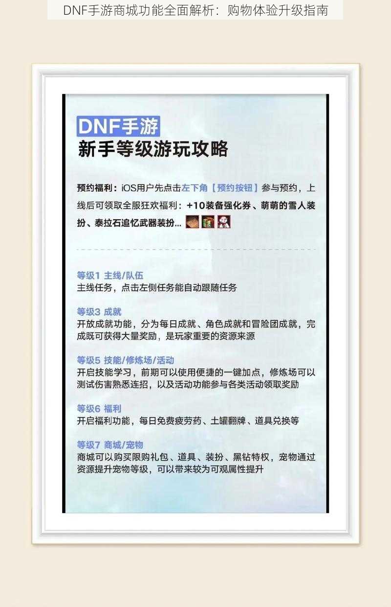 DNF手游商城功能全面解析：购物体验升级指南