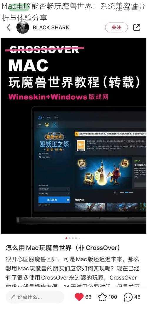 Mac电脑能否畅玩魔兽世界：系统兼容性分析与体验分享