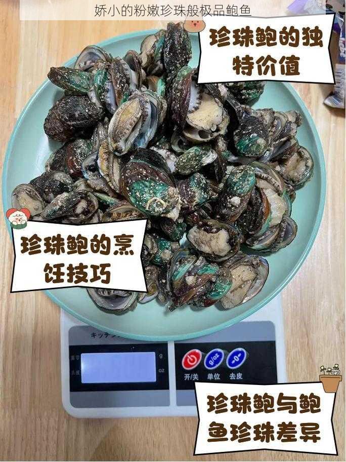 娇小的粉嫩珍珠般极品鲍鱼