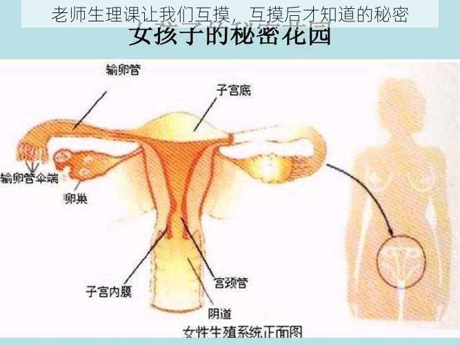 老师生理课让我们互摸，互摸后才知道的秘密