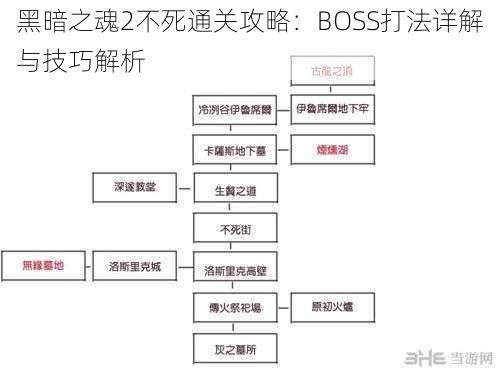 黑暗之魂2不死通关攻略：BOSS打法详解与技巧解析