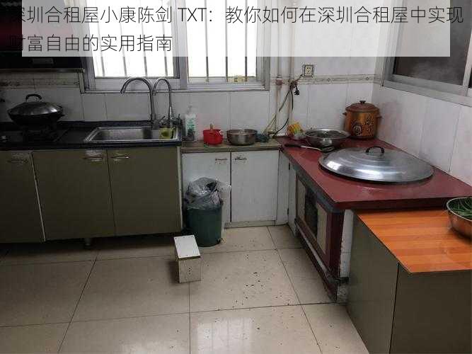 深圳合租屋小康陈剑 TXT：教你如何在深圳合租屋中实现财富自由的实用指南