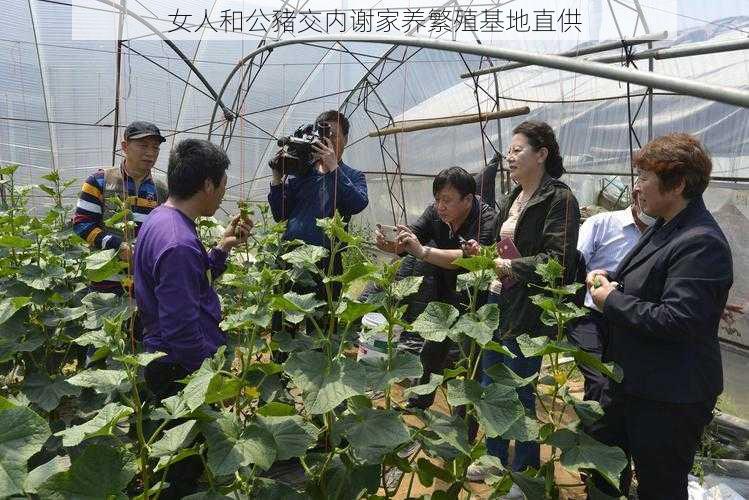 女人和公豬交内谢家养繁殖基地直供